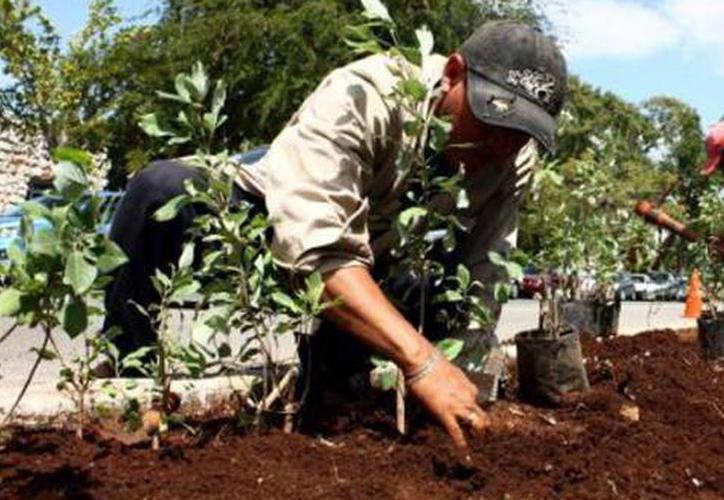 La Orinoquia se alista para la primera feria de Sostenibilidad Ambiental