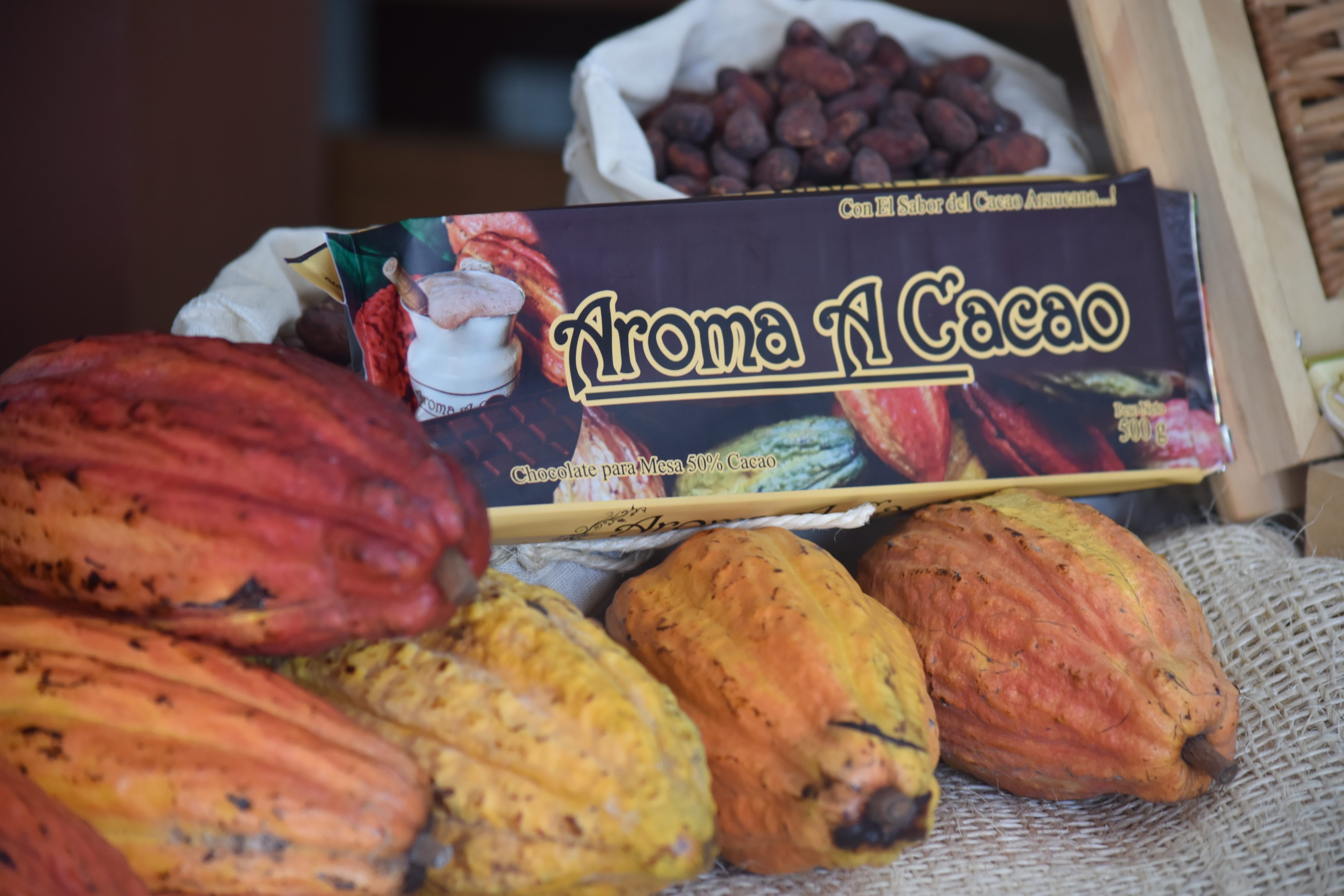 Llegó la hora para el cacao araucano