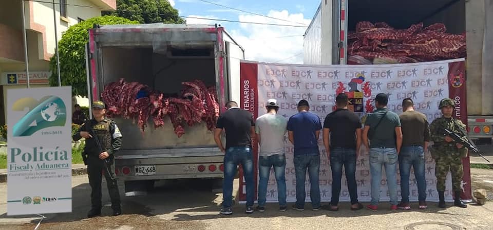 19 toneladas de carne incautadas y 6 capturados dejó operativo de la Polfa en Tame