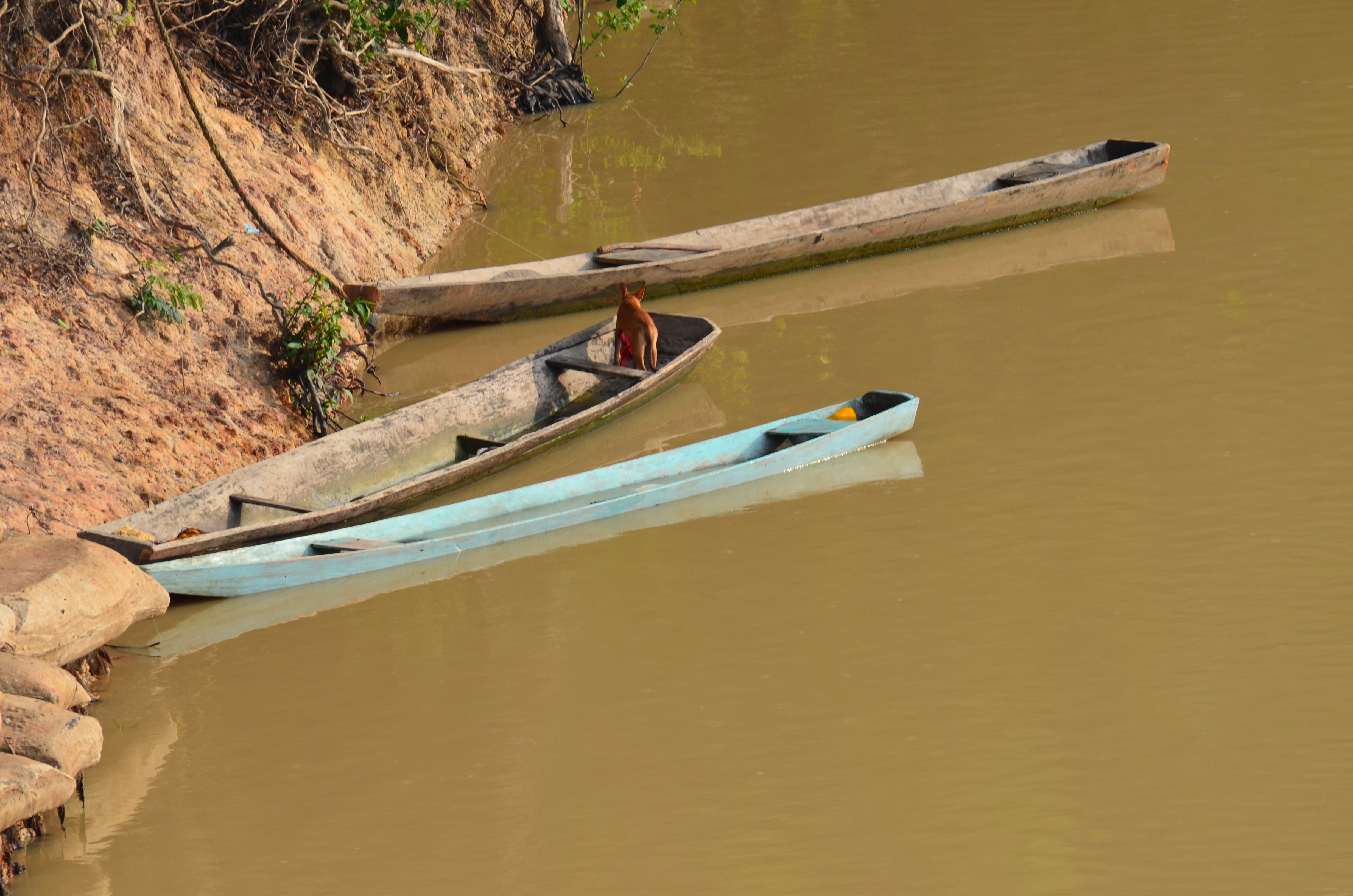 Canoas en el río