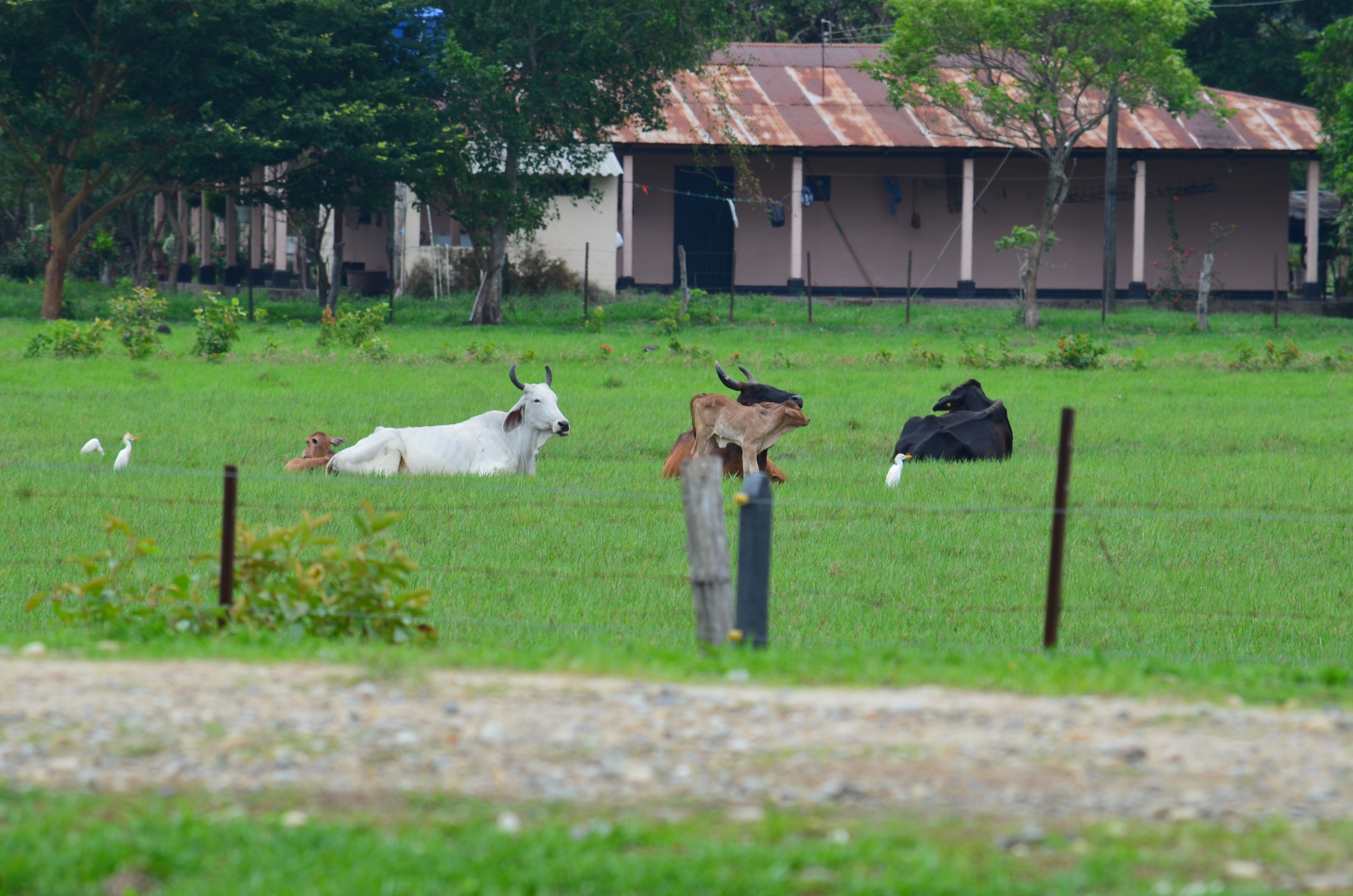 Campo abierto