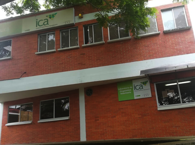 El ICA dice que adelanta acciones para mejorar la prestación del servicio y salvaguardar la producción ganadera de Arauca