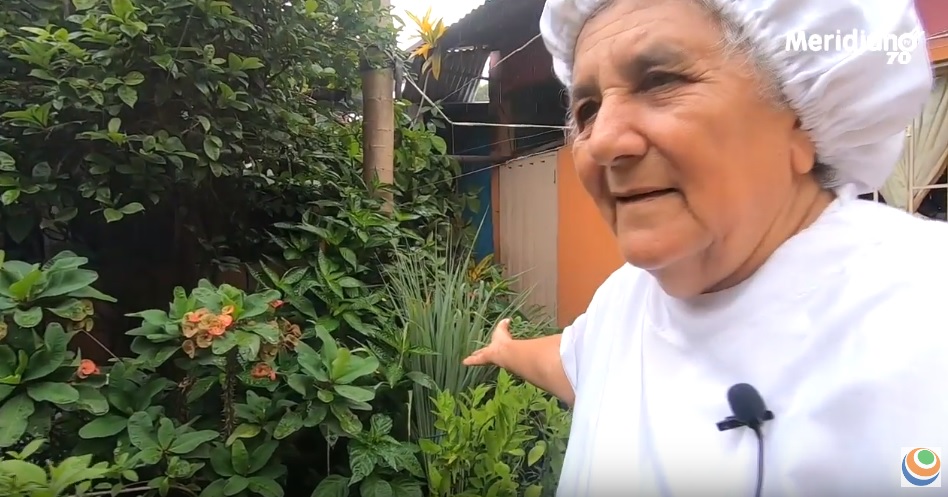 Así Somos: Otilia Cisneros de Colmenares nos cuenta secretos de las plantas medicinales