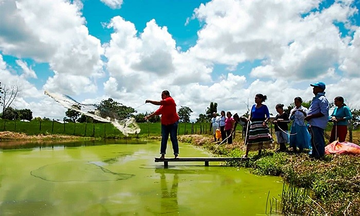Sector público de Arauca, conozca el programa  que puede mejorar las condiciones de vida de sus pueblos indígenas