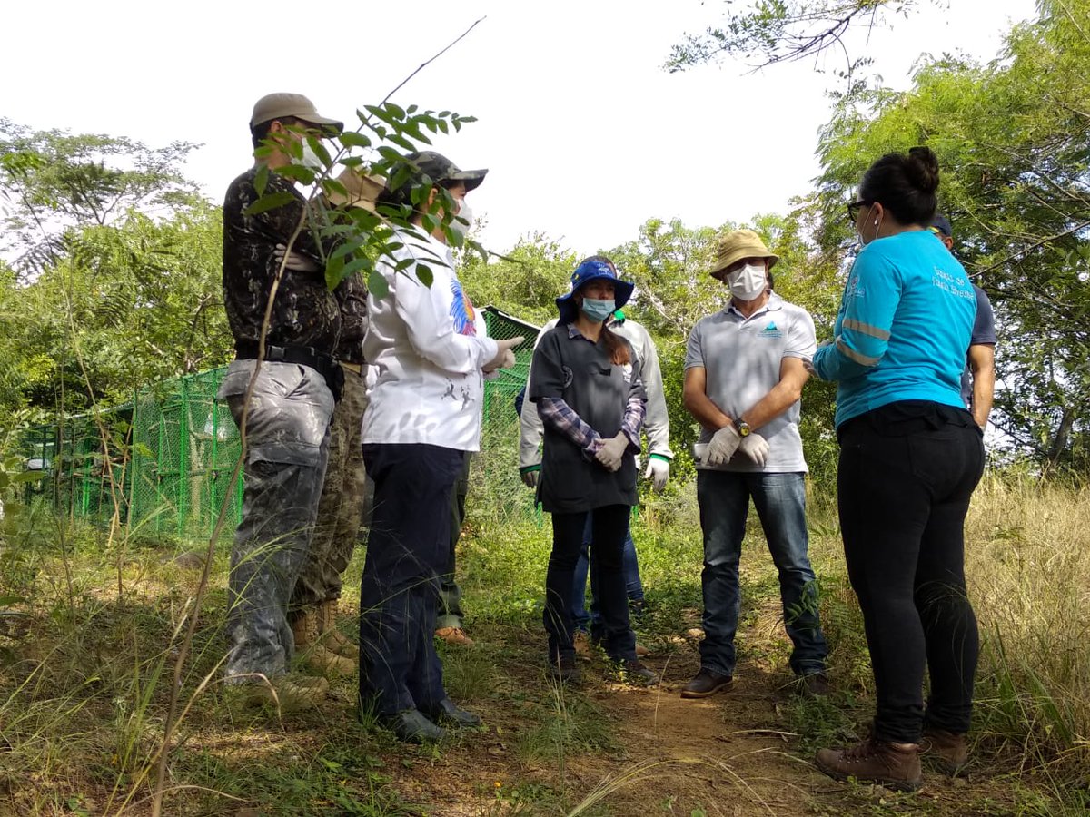 Hogar de paso para la fauna silvestre será construido en Arauca