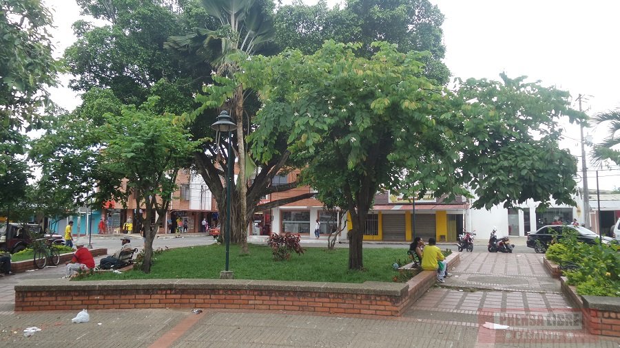 Procuraduría destituyó e inhabilitó por 13 años a exrectora de institución educativa de Tauramena, Casanare