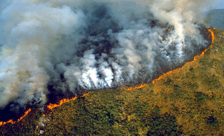 El incendio de la Amazonía visto desde el aire