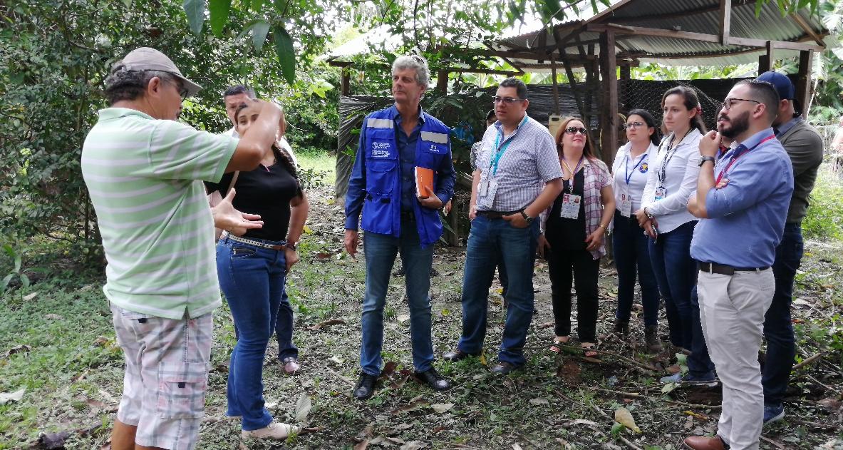 OMS certificó a cuatro municipios de departamento de Arauca libre de chagas