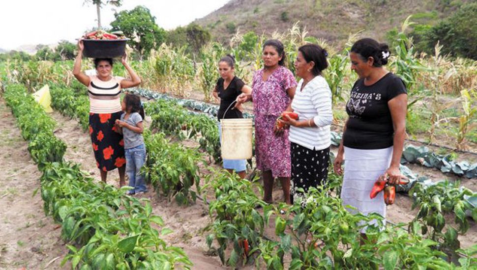 Arauca se une a la celebración del Día Internacional de la Mujer Rural