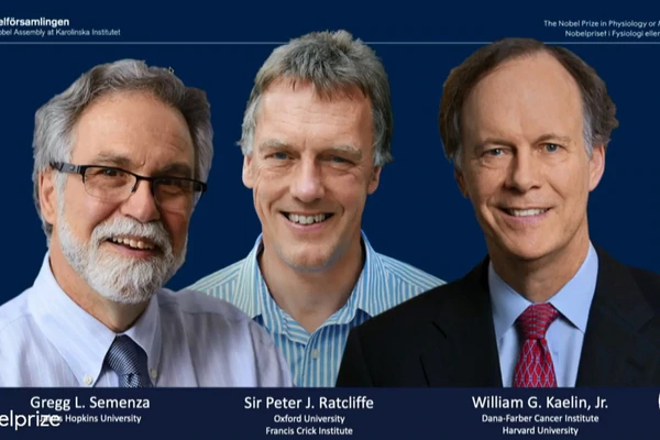 El hallazgo de los cientificos William Kaelin y Gregg Semenza y el británico Peter Ratcliffe es especialmente útil para la lucha contra la anemia y el cáncer.