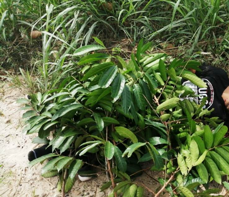 Identifican a hombre asesinado en zona rural de Tame