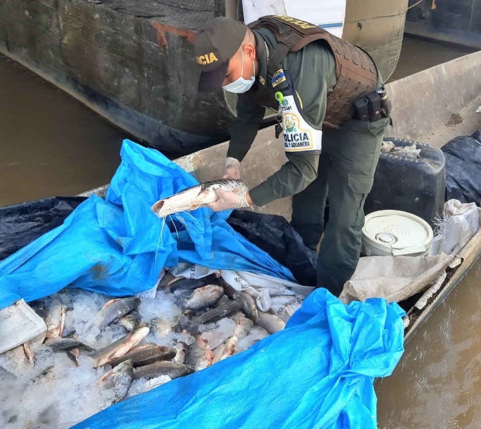 La POLFA incautó 1.000 kilogramos de pescado no apto para el consumo humano