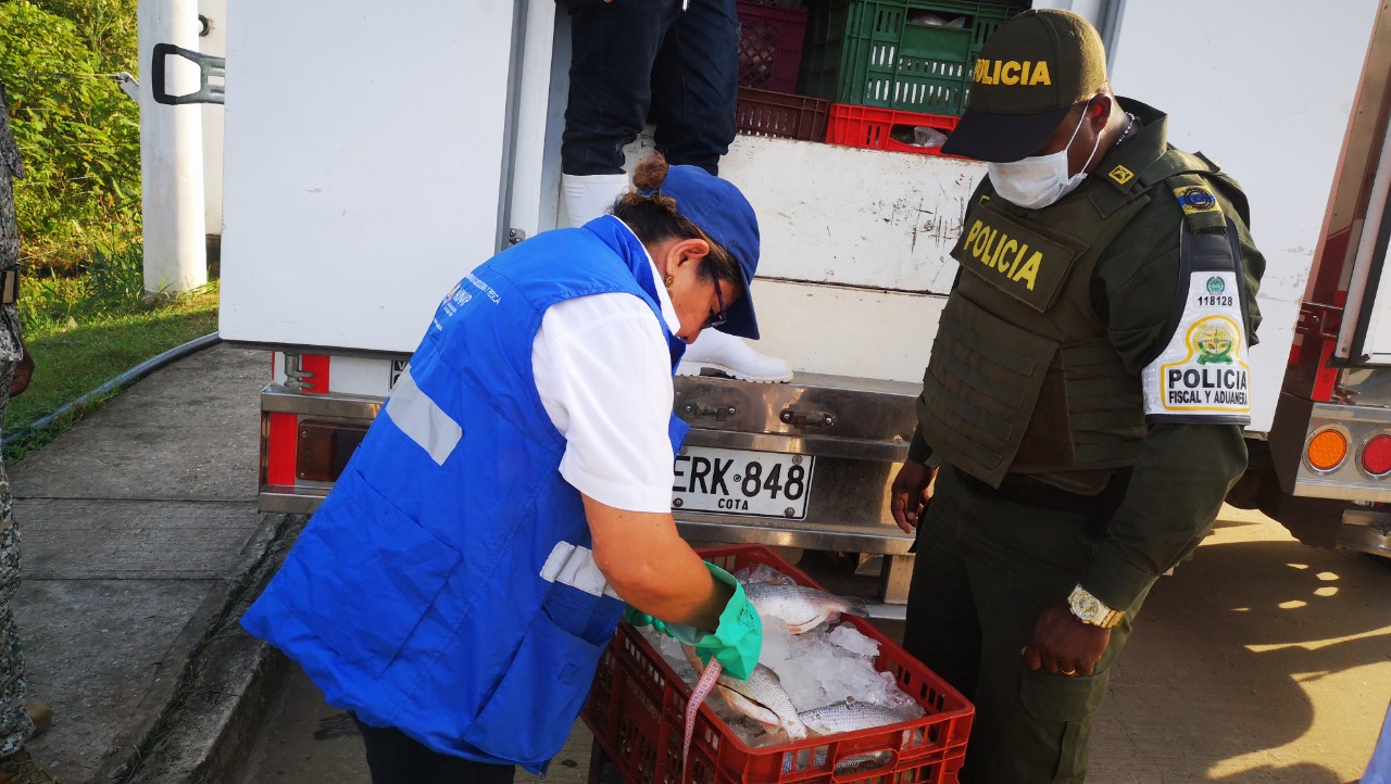 POLFA incautó  3.250 kilogramos de pescado