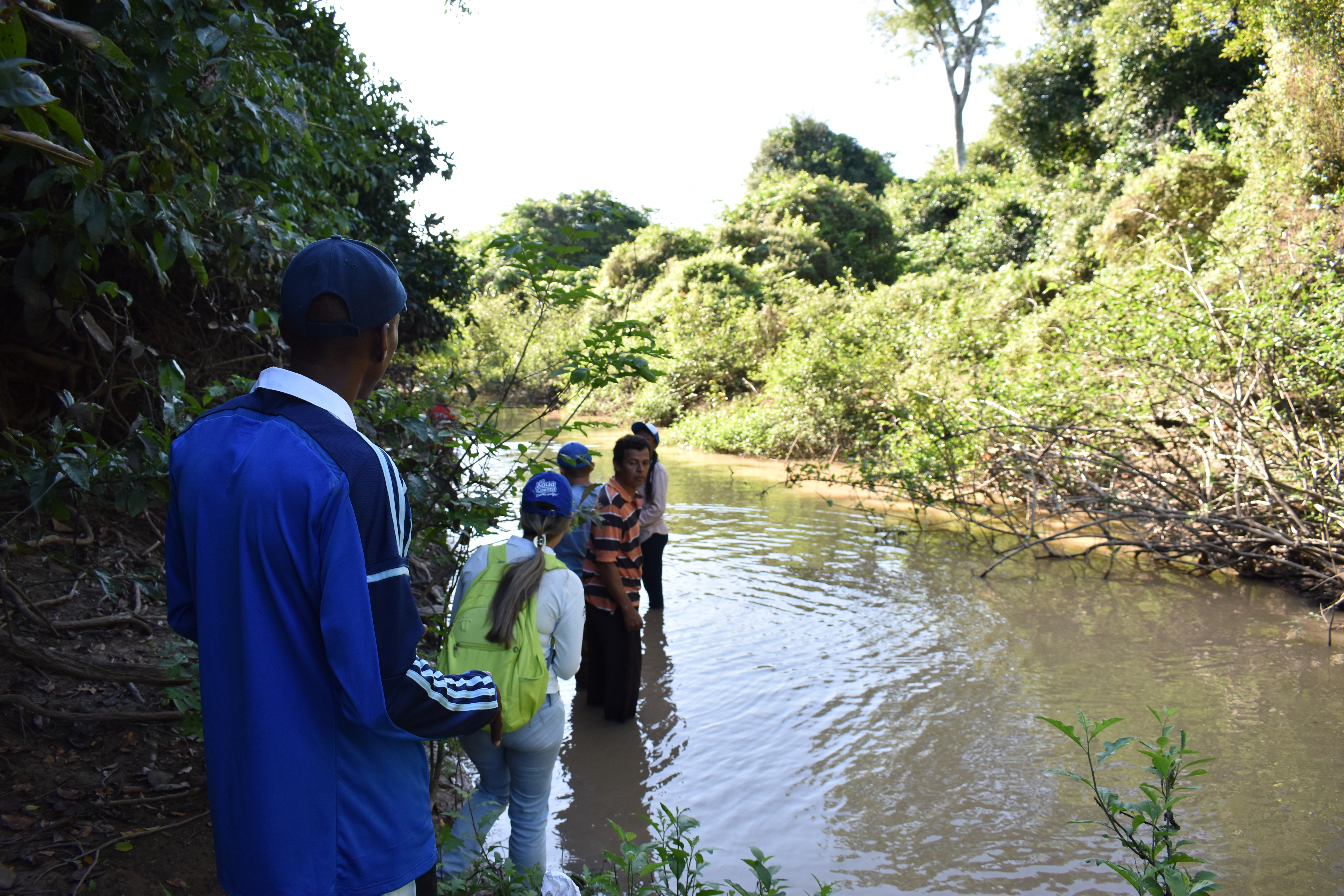 Dos toninas fueron liberadas en el río Arauca