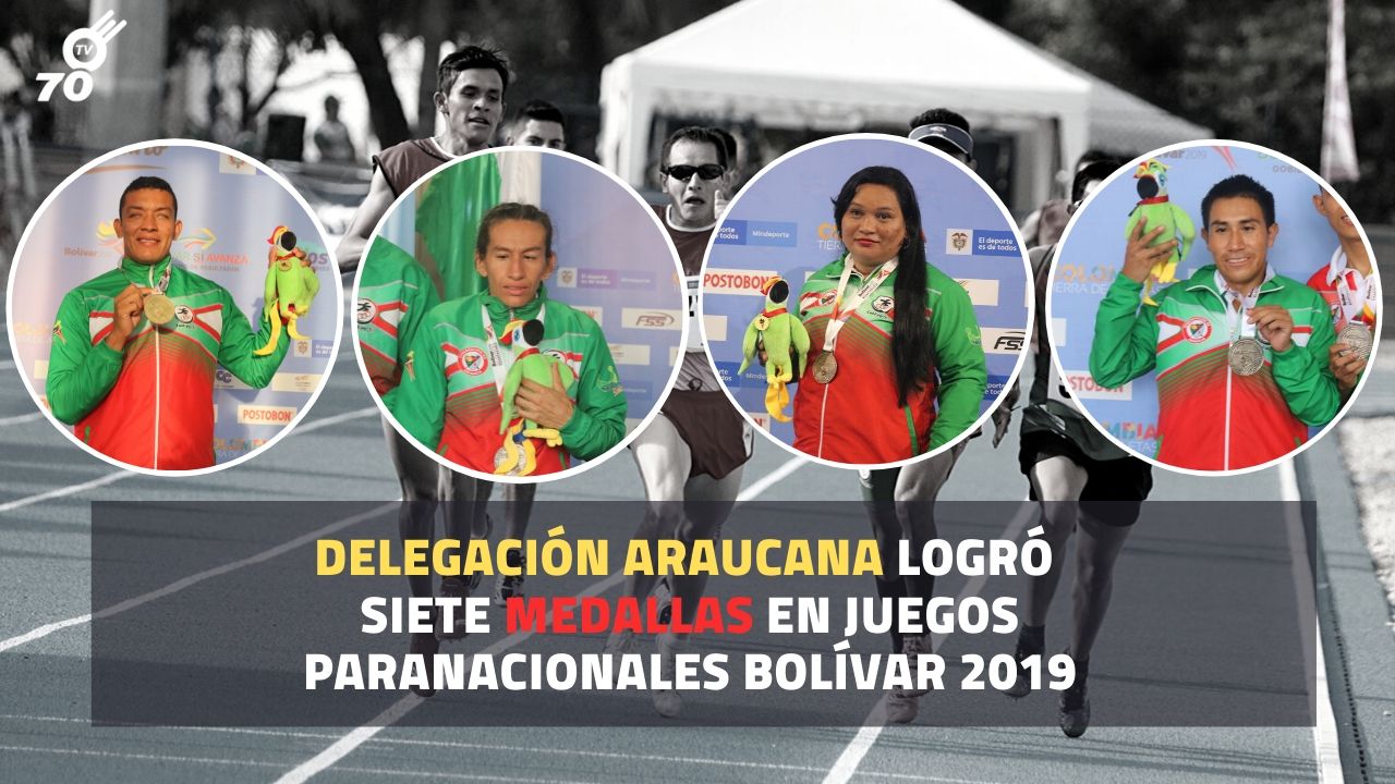 Delegación Araucana logró 7 medallas en Juegos Paranacionales Bolívar 2019