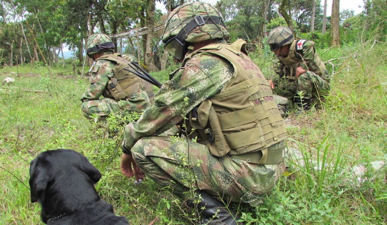 Ejército frustró atentado con explosivos en Fortul