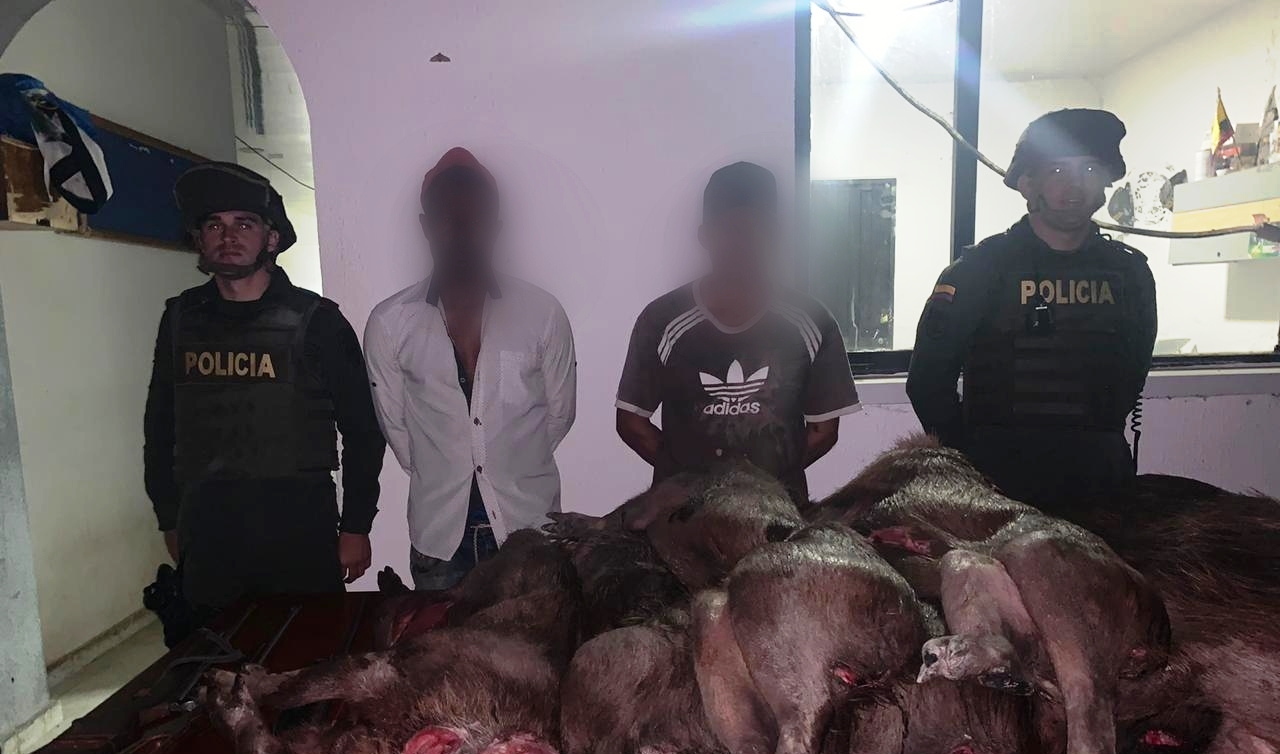 Dos personas capturadas por la muerte de 8 chigüires en Rondón