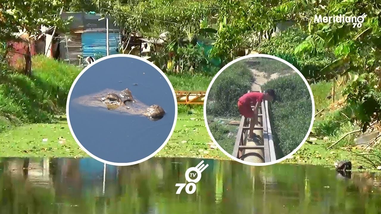 Comunidad aledaña al caño ‘Vaneguero’ siente temor por animales peligrosos para los niños