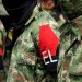 Cuatro guerrilleros del ELN mueren en combates con el Ejército venezolano