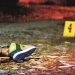 Con arma blanca fue asesinado un hombre en Puerto Lleras, Saravena