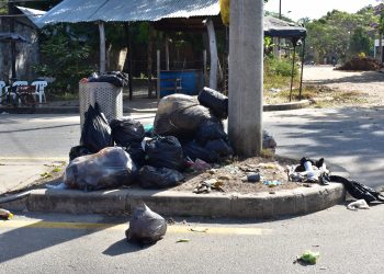 Recicladores ambulantes contribuyen a ensuciar la ciudad