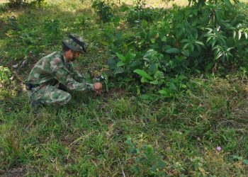 Ejército: ELN pretendía atentar contra el oleoducto Bicentenario