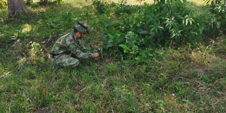 Ejército: ELN pretendía atentar contra el oleoducto Bicentenario