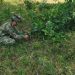 Ejército: ELN pretendía atentar contra el oleoducto Bicentenario