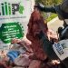 Polfa incautó más de 200 kilos en carne de contrabando