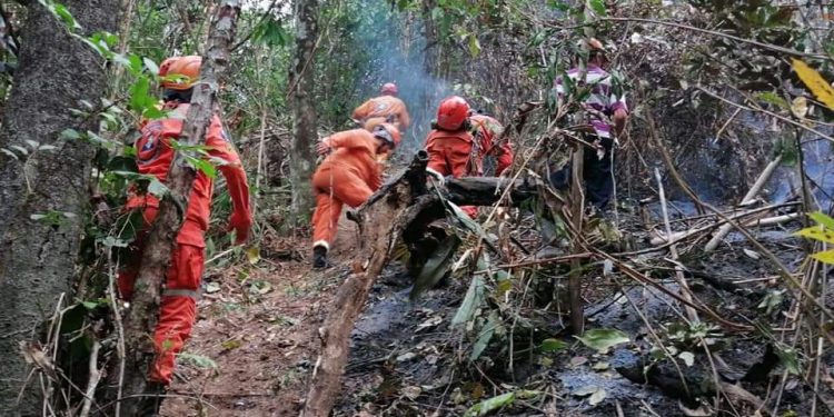 Llamas arrasaron con más de 5 mil hectáreas de bosque en Tame