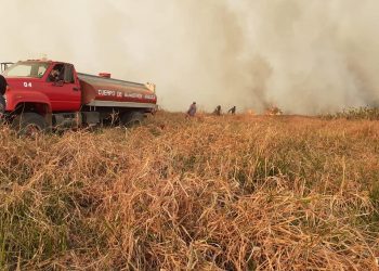 Se incrementaron los incendios forestales en periodo de Cuarentena