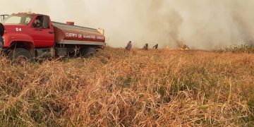Se incrementaron los incendios forestales en periodo de Cuarentena