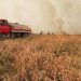 Se incrementaron los incendios forestales en periodo de Cuarentena