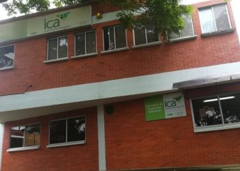 Resultados de pruebas para escogencia de gerente del ICA seccional Arauca