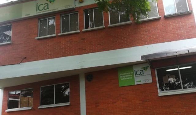 Resultados de pruebas para escogencia de gerente del ICA seccional Arauca