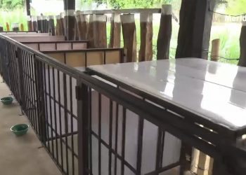 Hogar de paso animal fue inaugurado en Arauca