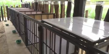 Hogar de paso animal fue inaugurado en Arauca