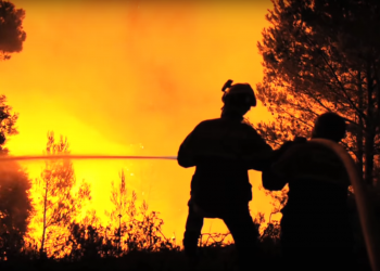 No existen denuncias por incendios forestales en Arauca