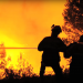 No existen denuncias por incendios forestales en Arauca