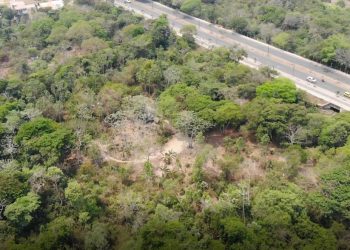 Predio cercano al pozo de las babas convertido en guarida de ladrones y consumidores