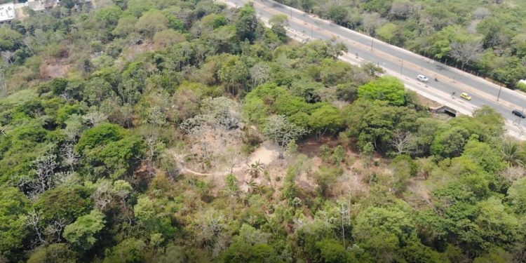 Predio cercano al pozo de las babas convertido en guarida de ladrones y consumidores