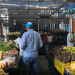 ¿Hay desabastecimiento de productos alimenticios en Arauca?
