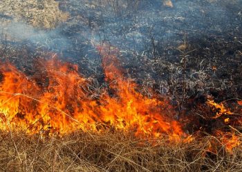 Corporinoquia anuncia duras sanciones contra quienes atenten contra el medio ambiente