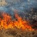 Corporinoquia anuncia duras sanciones contra quienes atenten contra el medio ambiente