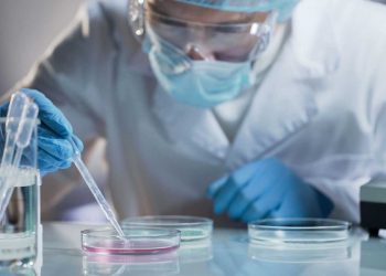 El coronavirus no salió de un laboratorio de China: OMS