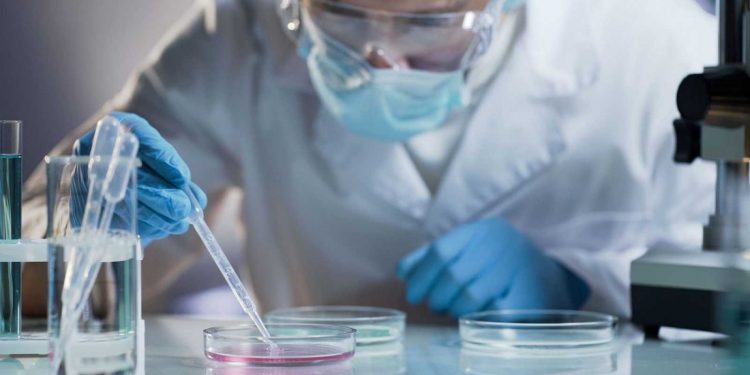 El coronavirus no salió de un laboratorio de China: OMS
