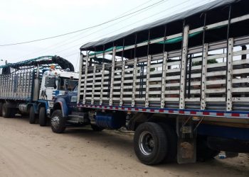 «No hay garantías para movilizarnos y la hambruna nos puede llegar»: camioneros de Arauca