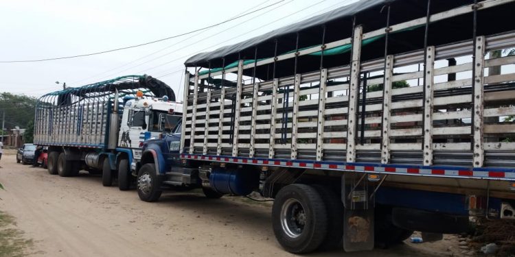 «No hay garantías para movilizarnos y la hambruna nos puede llegar»: camioneros de Arauca