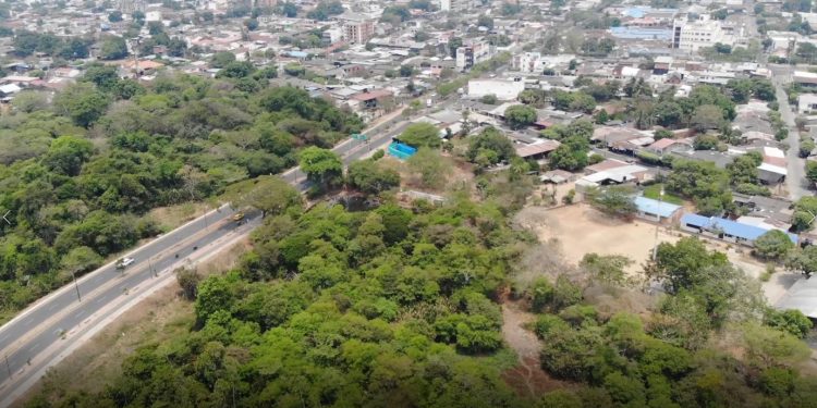 Coronavirus: Arauca se mantiene en cero (0) casos