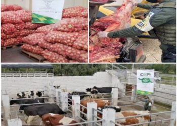 Autoridades incautaron más de $107 millones en productos agropecuarios en zonas de frontera